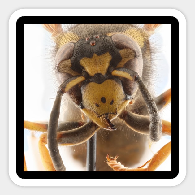 Prairie Yellowjacket -Vespula atropilosa Sticker by Rosettemusicandguitar